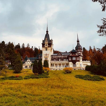 Wood Studio Sinaia Bagian luar foto