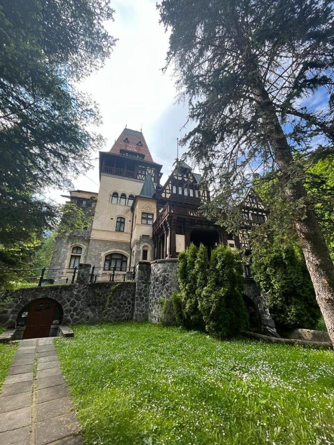 Wood Studio Sinaia Bagian luar foto