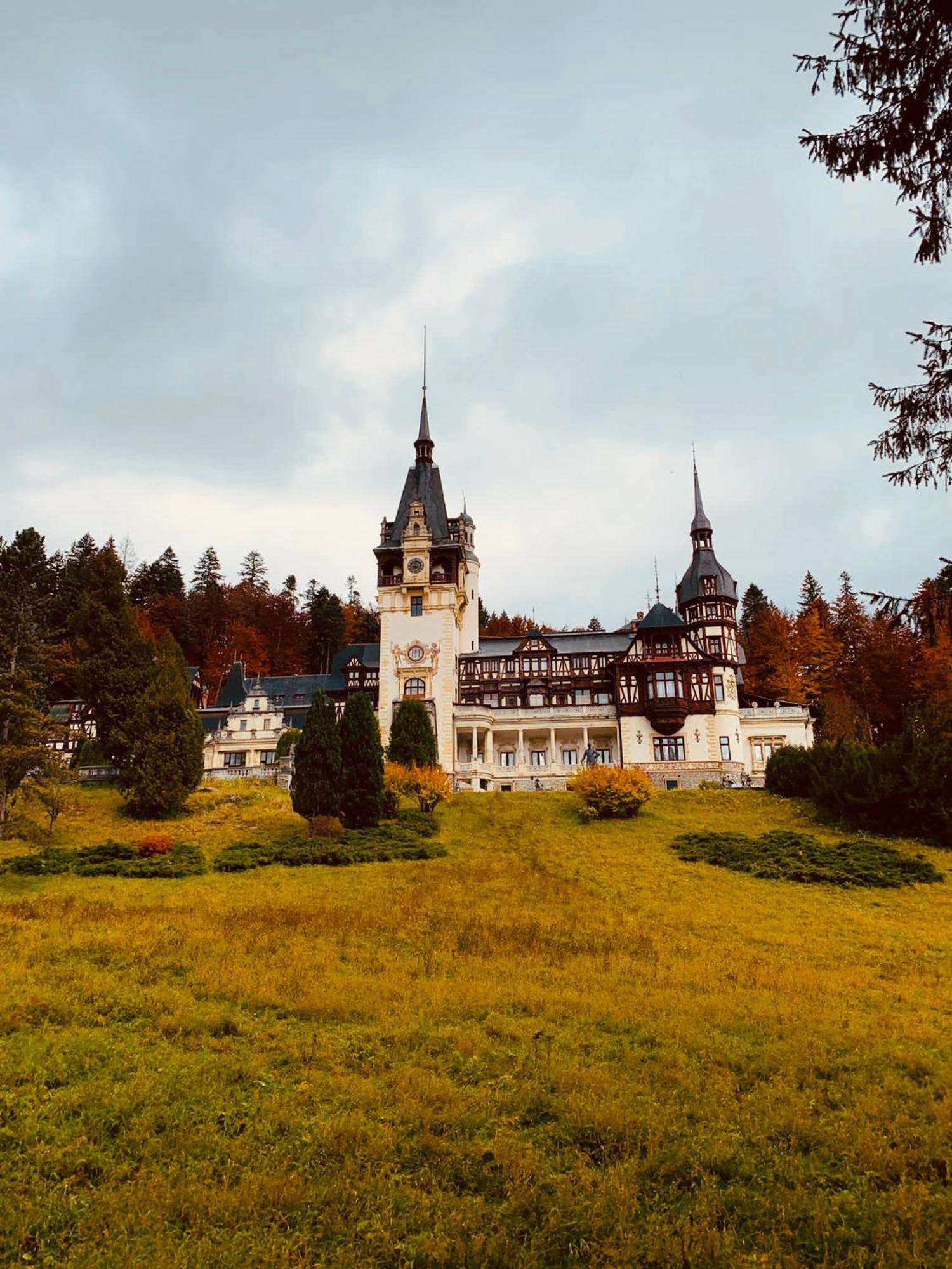 Wood Studio Sinaia Bagian luar foto